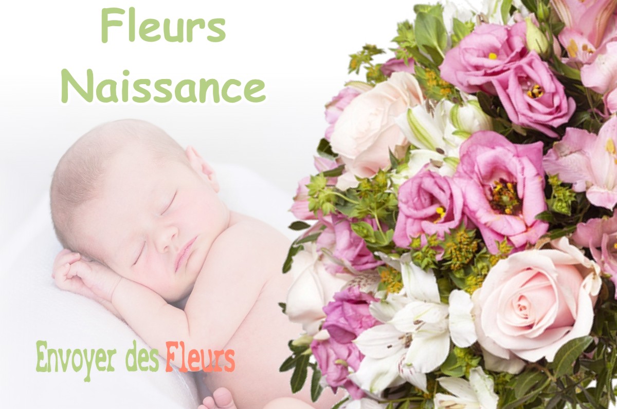 lIVRAISON FLEURS NAISSANCE à GOUDEX